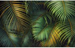 Komar Amazon Fern fátyoltapéta 400 cm x 250 cm
