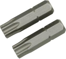 LUX-TOOLS LUX Classic standard bit TX40 2 darab (303208)