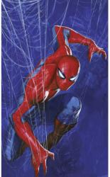 Komar nemszőtt fotótapéta Marvel Spider-Man Spider Web kék-piros