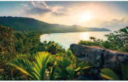 Komar Vlies fotótapéta Golden Air 450 cm x 280 cm