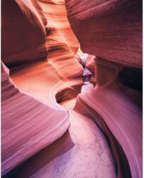 Komar vlies fotótapéta Lost in Color 200 cm x 250 cm