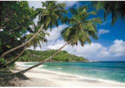 Komar fotótapéta Tropical Sea 368 cm x 254 cm