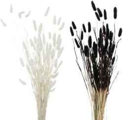 Boltze dekorág 2-féle változatban fehér-fekete