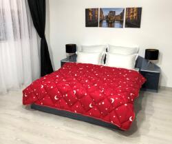 CONELTEX Pilota matlasata iarna "Luna si Stele" Coneltex, dimensiuni 200x210 cm, culoare rosie, umplutura fibra siliconizata antialergica, densitate 350 g/mp