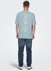 Only & Sons Only & Sons, Mintás organikuspamut póló, Fehér, Világoskék, S (22029484-TOURMALINE-S)