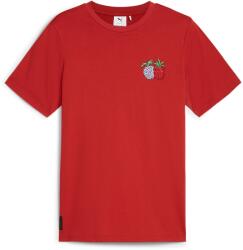 PUMA Puma, Kerek nyakú pamutpóló, Piros, M (624665-24-M)