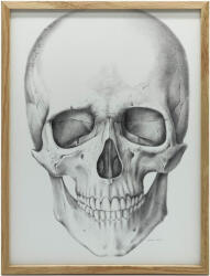  KERET FALI PLAKÁT ANATÓMIAI KOPONYA NAGY 70x100 CM