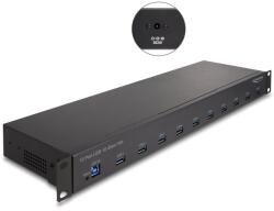 Delock 19 Ipari Hub 10 x USB 10 Gbps A-Típusú