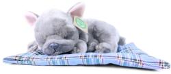 Rappa Plüss kutya francia bulldog fekvő 23 cm KÖRNYEZETBARÁT (RP195073)