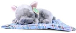 Rappa Caine de pluș Bulldog francez culcat 23 cm ECO-FRIENDLY (RP195073)