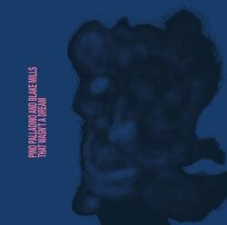 Pino Palladino And Blake Mills - That Wasn't A Dream (CD) (0602478506710)