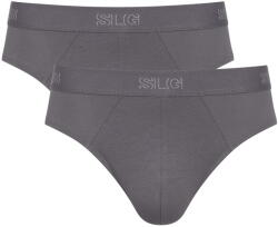 Sloggi Chilot sloggi SLG Base Brief 2PACK 6652 - SHIVER: M (10224733_6652 M)