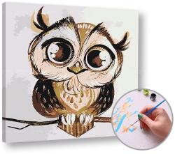 Paint by Numbers készlet - SOVA