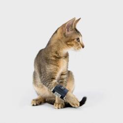  Balto - Orteză pentru picioarele anterioare pentru câini XS pisică
