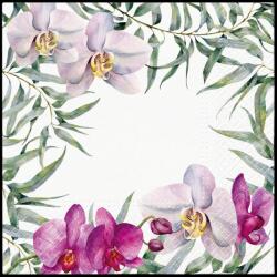 PAW Papírszalvéta 33x33 cm 3 rétegű 20 lap/csomag - Elegáns orchidea