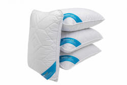 Somnart Set. 4perne. 50. Somno. 001 (set.4perne.50.somno.001)