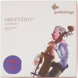 Galli OV81 Overture Bass Rope 1/2