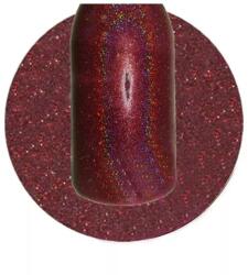 Master Nail's Master Nails Sellőpor