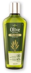 Herbolive Sampon cu grau pentru par normal, 200ml, Herbolive