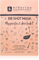 Erborian BB Shot Mask Masca de celule cu efect lucios 14 g Masca de fata