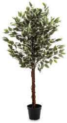 Art-Pol Dísznövény Ficus Műanyag Zöld 130x65x65cm-2 (179202)