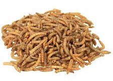 Panzi talpastasakos Szárított Lisztkukac 400 ml