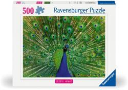 Ravensburger - Puzzle animale colorate paun 500 piese (RVSPA01332) - ejuniorul