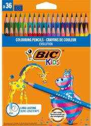 BIC Set creioane colorate Evolution Bic, P36