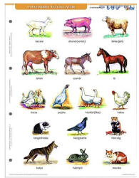 Stiefel Tanulói munkalap STIEFEL A/4 ház körül élő állatok + munkaoldal (27585) - kreativjatek