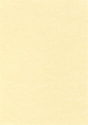 APLI Előnyomott papír, A4, 95 g, pergamen hatású, APLI, pezsgő (PCL1601) - kreativjatek