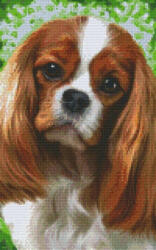 Pixelhobby 808088 Spániel szett 8 alaplapos (25, 4x40, 6 cm) (808088)