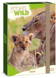 Ars Una Füzetbox ARS UNA A/4 Icons of the Wild-Lions - kreativjatek