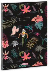 Ars Una Füzet kockás ARS UNA A/4 40 lapos Extra kapcsos Tahiti