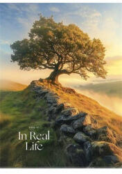 Füzet, tűzött, A4, vonalas, 40 lap, SHKOLYARYK "In Real Life", vegyes (SB405249L)