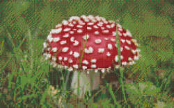 Pixelhobby 808113 Gomba (40, 6cmx25, 4cm) 8 alaplapos szett (808113)