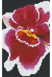 Pixelhobby 802008 Vörös-fehér orchidea szett (10, 7x20, 3cm) (802008)