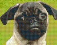 Pixelhobby 804043 Mopsz (25, 4x20, 3cm) 4 alaplapos szett (804043)