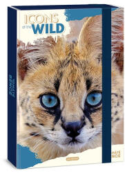 Ars Una Füzetbox ARS UNA A/4 Icons of the Wild-Serval - kreativjatek