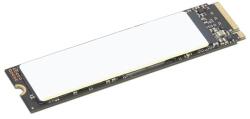 Lenovo 2TB 4XB1N36076