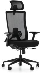 Rauman Scaun de birou Ramiro, negru (K9-BH-VGKIT_BLACK)