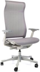 Rauman Scaun de birou Fonzo II, gri (V5-GH-02_GREY_FRAME)