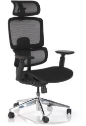 Rauman Scaun de birou Lustro, negru (D-T8-BH_BLACK)