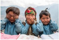  Alexandre Sattler The three monkeys alumínium kép - ardorado