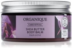 Organique Black Orchid balsam hranitor pentru corp unt de shea 100 ml