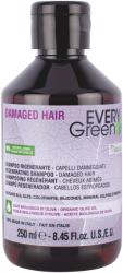 Everygreen Restructuring Sampon sérült hajra, 250 ml