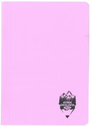 DACO Caiet A5 48 file DACO, coperta plastic, 70 g/mp, matematica, Mov pastel (CT549AR/MOVPASTEL)
