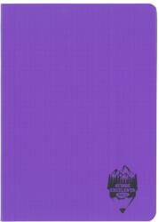 DACO Caiet A5 48 file DACO, coperta plastic, 70 g/mp, matematica, Mov (CT549AR/MOV)