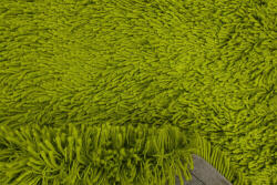 Bakero Shaggy Cesar green Szőnyeg (130x190 cm)