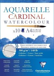 Clairefontaine Cardinal Glued Pad Vázlatfüzet 10 A4 300 g (96183C)