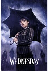  Wednesday poszter - Downpour 61 x 91 cm (PP35274)